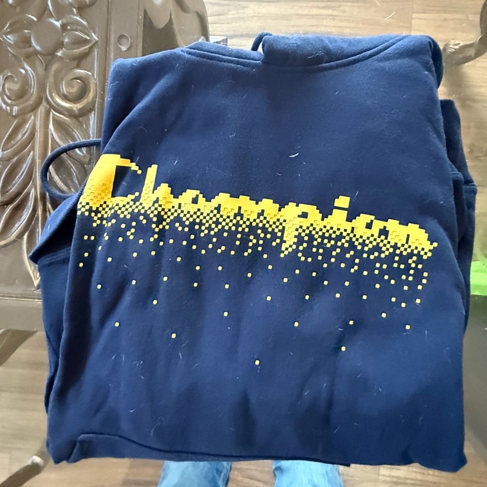 Champion hoodie